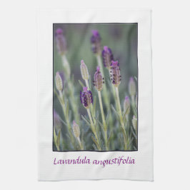 Paño De Cocina Lavanda en la floración