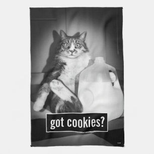 Paño De Cocina Leche de gato de jug