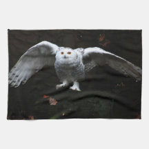 Lechuza nevada con ala abierta ktcna