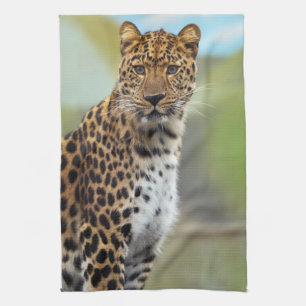Paño De Cocina Leopardo