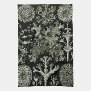 Paño De Cocina Lichen de Ernst Haeckel, Vintage Nature Plants
