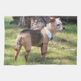 Paño De Cocina Lily Towel