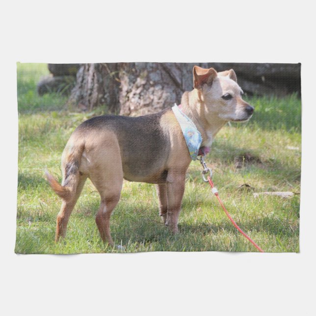 Paño De Cocina Lily Towel (Horizontal)