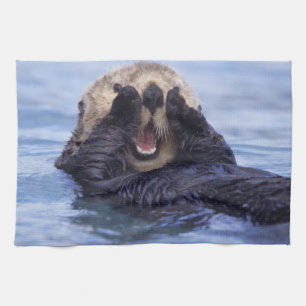 Paño De Cocina Linda nutria marina   Alaska, EE. UU.