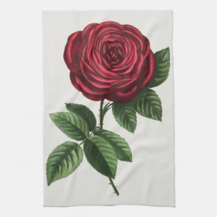 Paño De Cocina Litografía de rosa antigua, François-Frédéric Grob