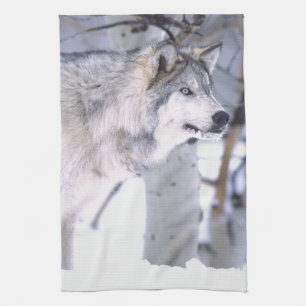 Paño De Cocina Lobo Gris, Canis lupus, Animal de Película (Utah)