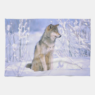 Paño De Cocina Lobo gris sentado en la nieve, Canis lupus,