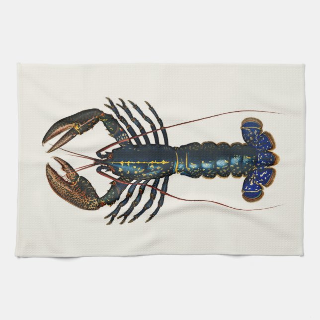 Paño De Cocina Lobster gigante - Ilustracion de época (Horizontal)