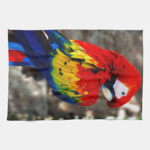Paño De Cocina Loro bonito de Polly