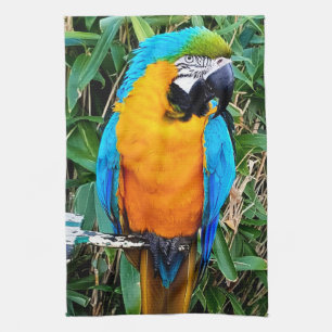 Paño De Cocina Loro de macao azul y amarillo