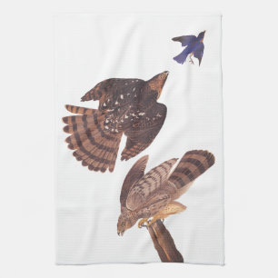 Paño De Cocina Los halcones de Stanley en Audubon cazando un pája