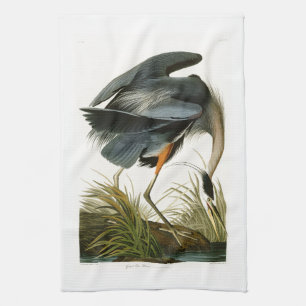 Paño De Cocina Los pájaros de Juan Audubon de la garza de gran