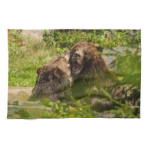 Lucha del juego de los osos grizzly