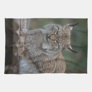 Paño De Cocina Lynx Mirando Tu Fleece Blanket