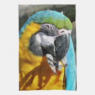 PAÑO DE COCINA MACAWS