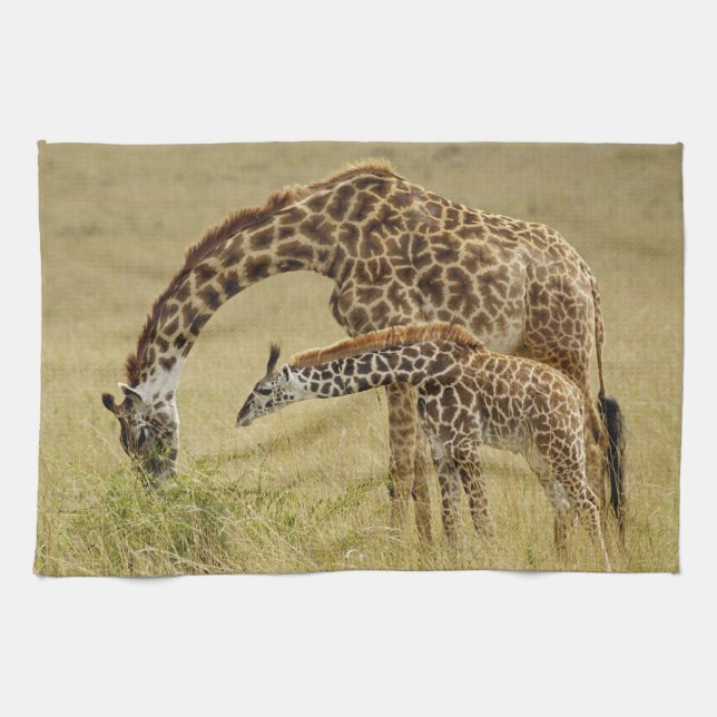 Paño De Cocina Madre y bebé Masai Giraffe, Giraffa (Horizontal)