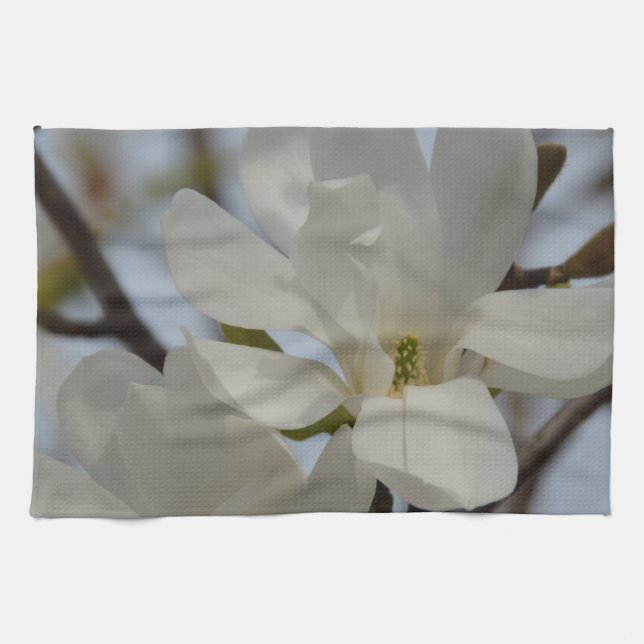 Paño De Cocina Magnolia blanca floreciendo en primavera (Horizontal)