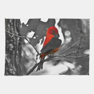 Paño De Cocina Male Scarlet Tanager