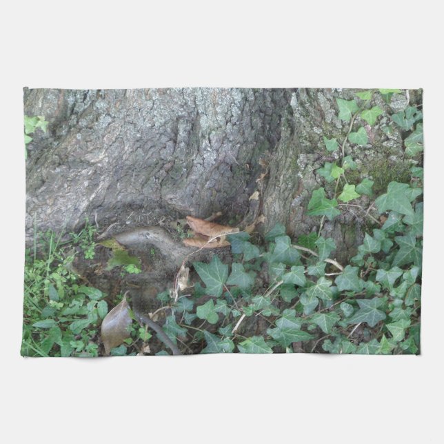 Paño De Cocina Maletero de árbol y hiedra en el bosque (Horizontal)