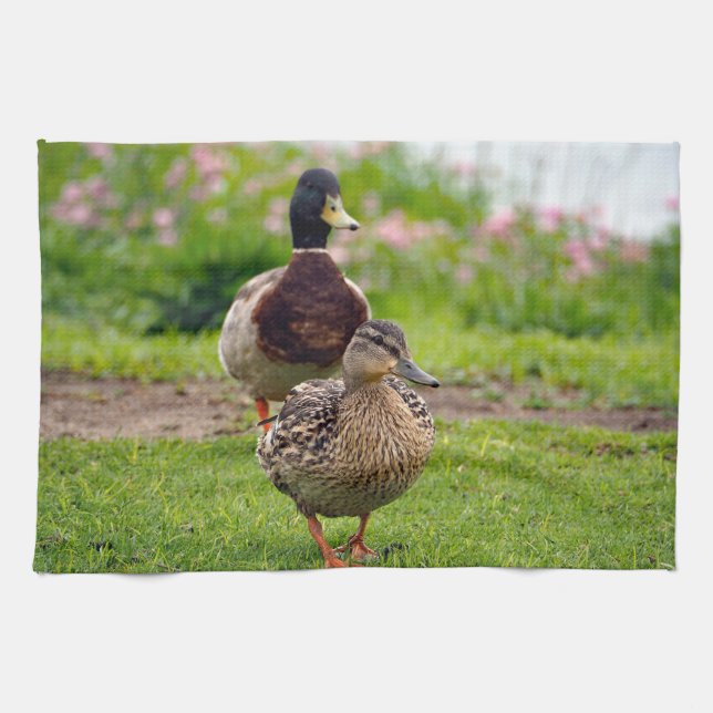 Paño De Cocina Mallard 116 (Horizontal)