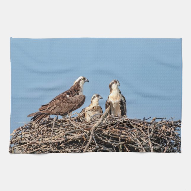 Paño De Cocina Mamá de Osprey con sus niños (Horizontal)
