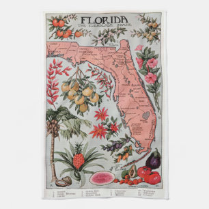 Paño De Cocina Mapa de la Florida Vintage