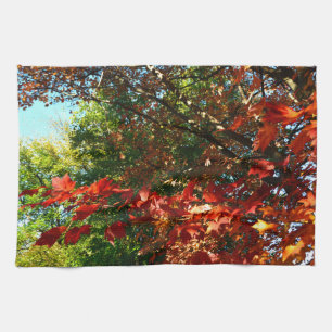 Paño De Cocina Maple japonés, hojas de árbol de otoño