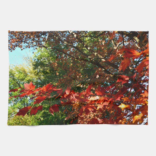 Paño De Cocina Maple japonés, hojas de árbol de otoño (Horizontal)