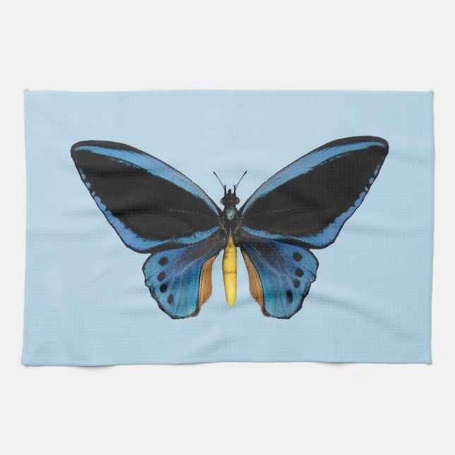 Paño De Cocina Mariposa de Aves (Horizontal)