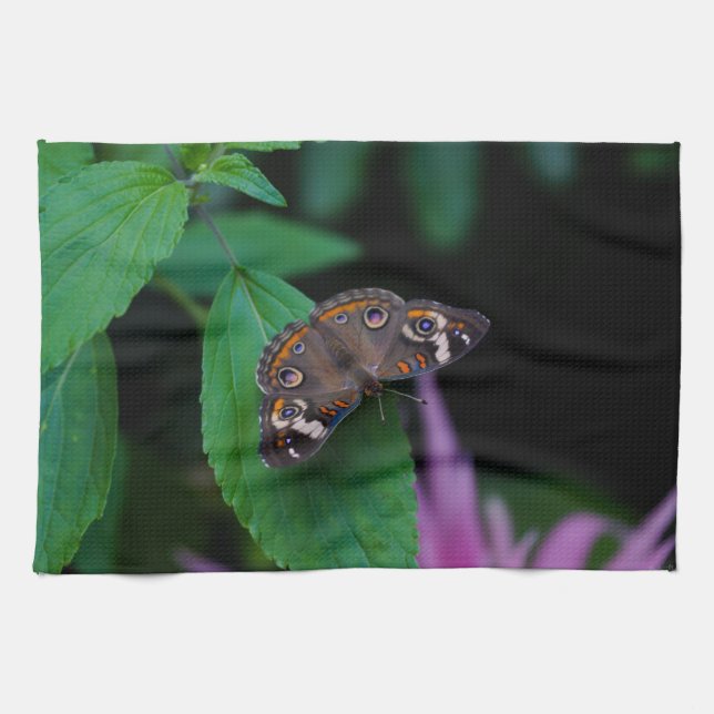 Paño De Cocina Mariposa localizada (Horizontal)