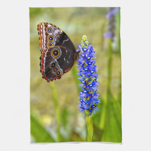 Paño De Cocina Mariposa morfo azul en una orquídea de mariscos