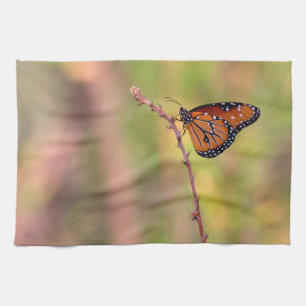 Paño De Cocina Mariposa reina tomando el sol