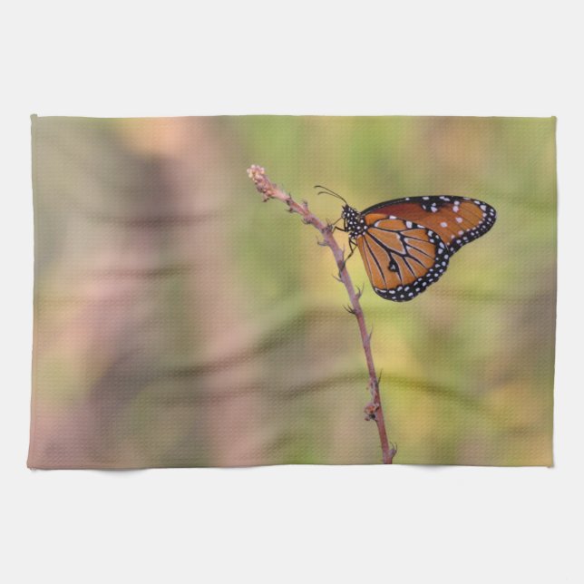 Paño De Cocina Mariposa reina tomando el sol (Horizontal)