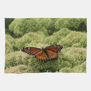Paño De Cocina Mariposa Viceroy Hermosa Fotografía de la Naturale