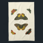 Paño De Cocina Mariposas brillantes por Pieter Cramer<br><div class="desc">Estas mariposas brillantes son extremadamente coloridas en su presentación. Una pieza increíble de Pieter Cramer,  sería un excelente regalo para el amante de la naturaleza en tu vida.</div>