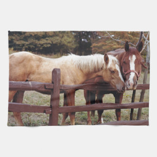 Paño De Cocina Mejores amigos