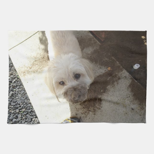 Paño De Cocina Mezcla de Caniche-Terrier con la cara sucia (Horizontal)