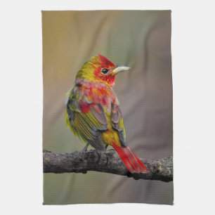 Paño De Cocina Moldura de Tanager de escarlata - Fotografía origi