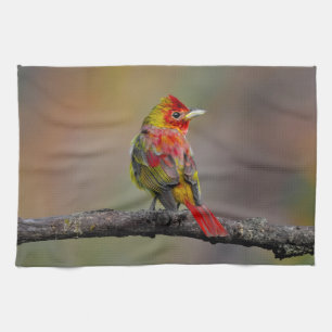 Paño De Cocina Moldura de Tanager de escarlata - Fotografía origi