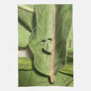 Paño De Cocina Monarca divertida mariposa oruga
