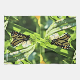 Paño De Cocina Monarca emerge en los jardines