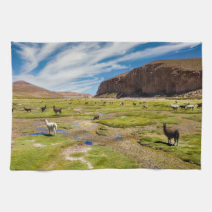 Paño De Cocina Montañas   Andes bolivianos