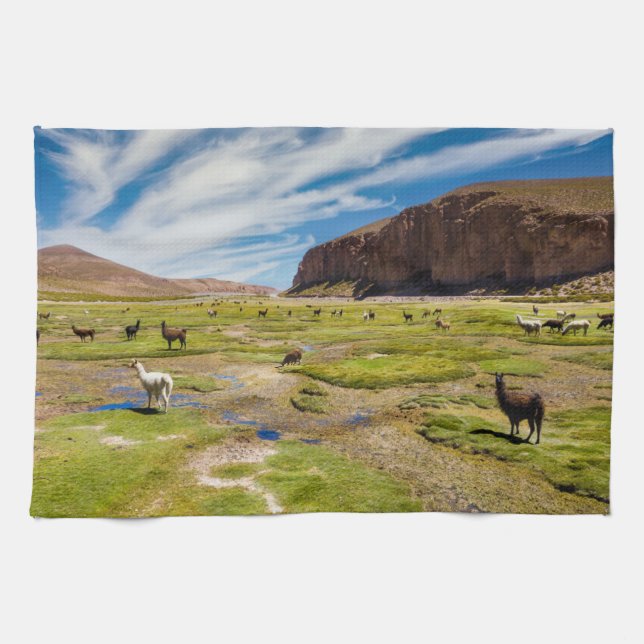 Paño De Cocina Montañas | Andes bolivianos (Horizontal)