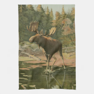 Paño De Cocina Moose caminando en agua