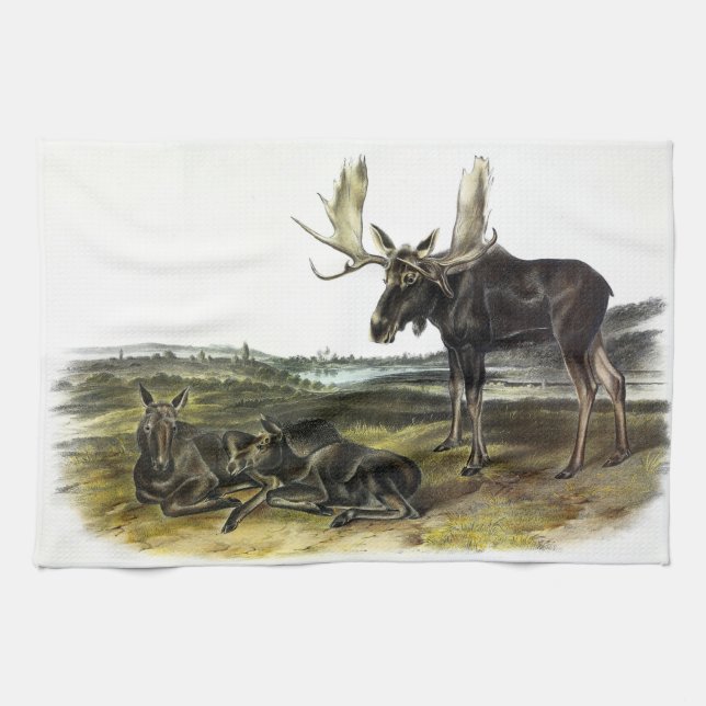 Paño De Cocina Moose Deer (Moose - Alces alces) de Audubon (Horizontal)