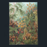 Paño De Cocina Muscíneas antiguas, Plantas de musgo por Ernst Hae<br><div class="desc">Ilustración vintage de la naturaleza diseño botánico de Ernst Haeckel. Una variedad de musgos coloridos,  pastos y otras plantas tropicales exóticas en una selva tropical.</div>