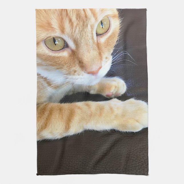 Paño De Cocina Naranja cat closeup (Vertical)