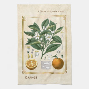 Paño De Cocina Naranja de Ilustracion de fruta de época Arte bot