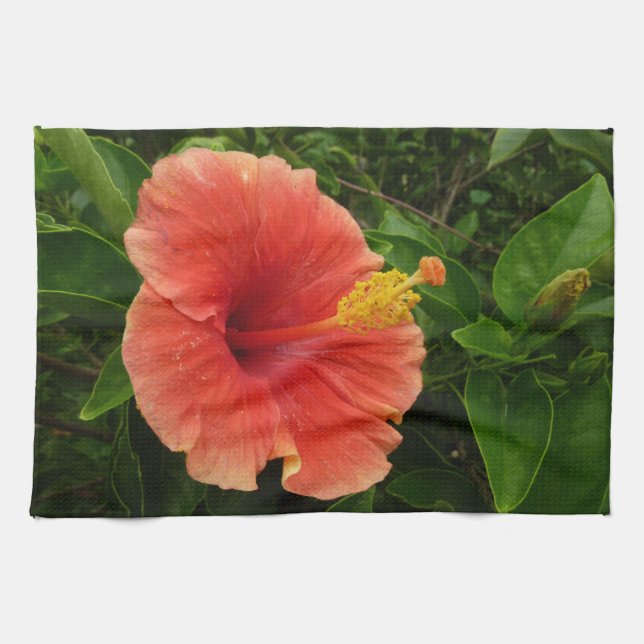 Paño De Cocina Naranja Hibiscus Flower Tropical Floral (Horizontal)