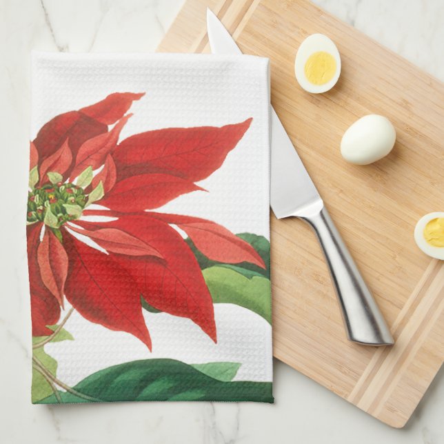 Paño De Cocina Navidades festivos Poinsettia bortánica (Doblado Cuarto)